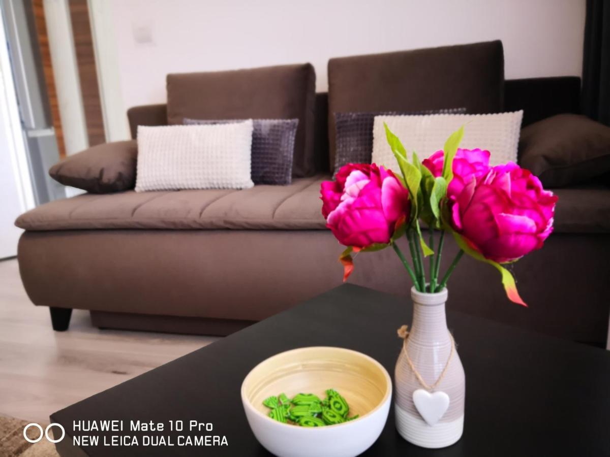 Guest House-Straja Lupeni Lupeni  Экстерьер фото