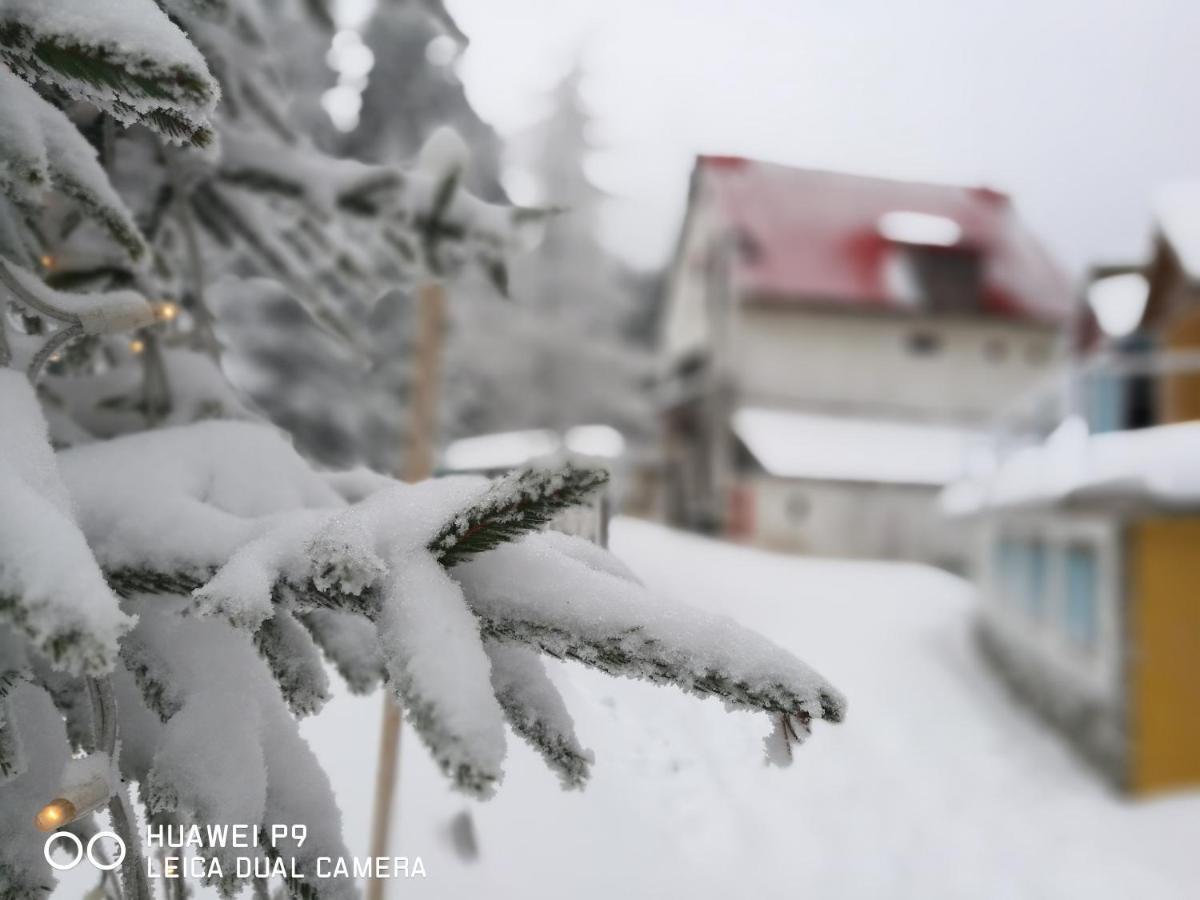 Guest House-Straja Lupeni Lupeni  Экстерьер фото